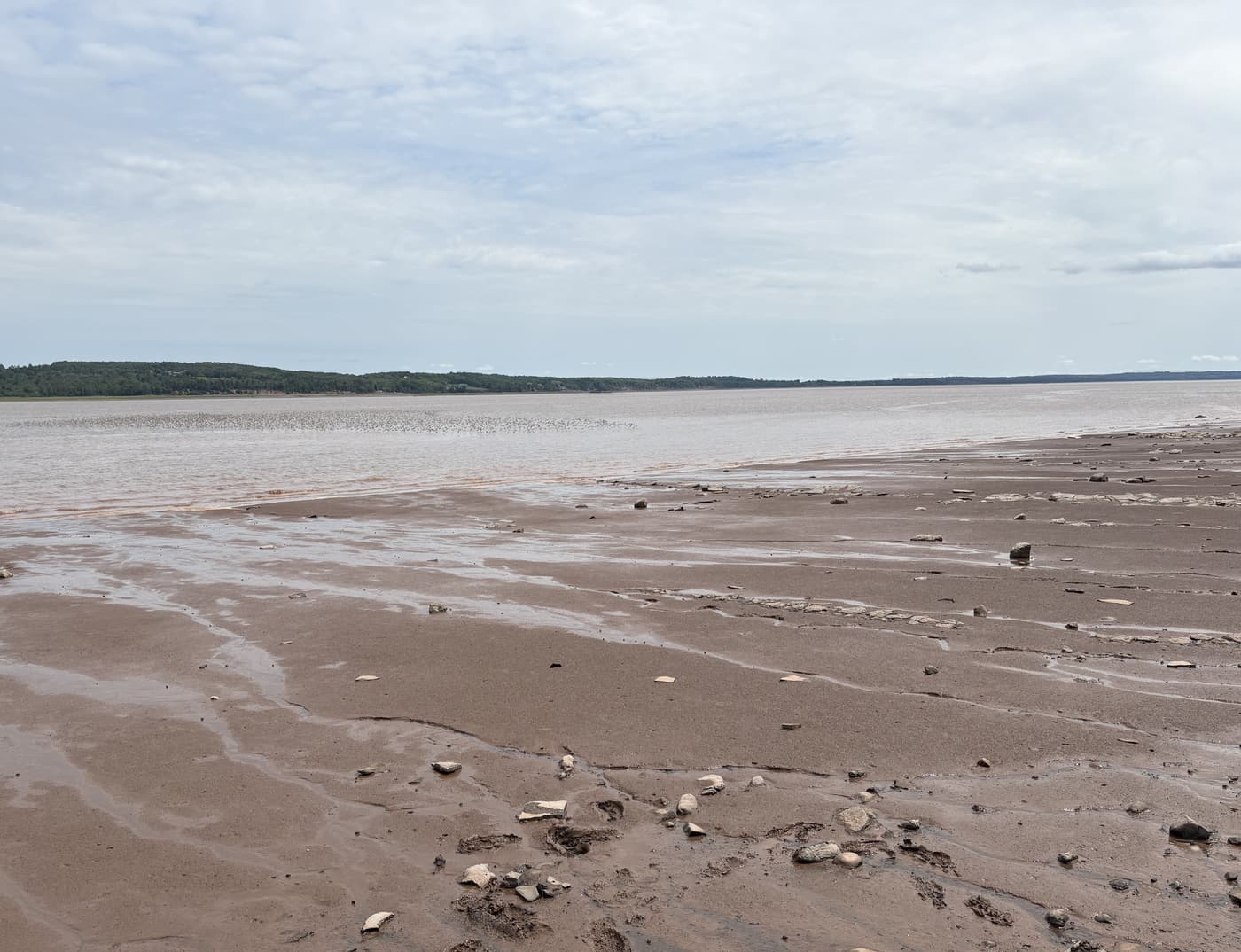 Red mudflats at low tide with the water and a treed far shore under a pale sky